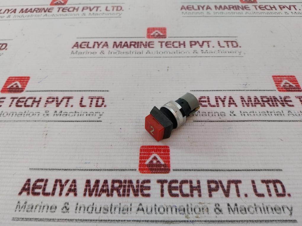 Tschudin & Heid 6..220V/1,2W Pushbutton Switch 445 603
