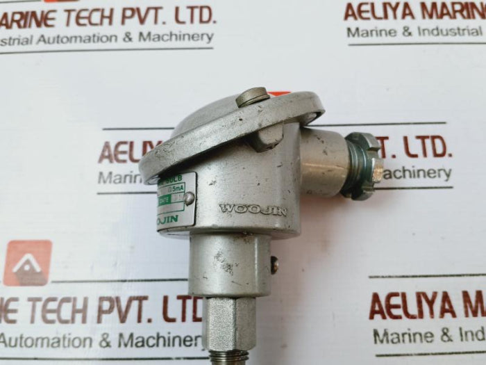 Woojin Pt 100Ohm 5Ma Resistance Bulb Class 0.5 185Mm