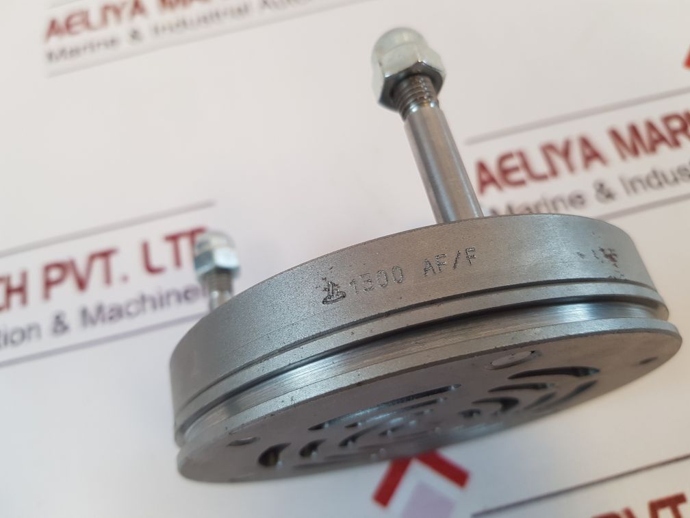 1300 Af/F Concentric Valve