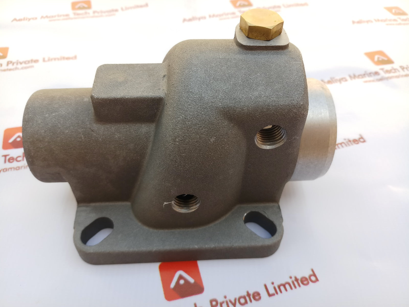 Intake Valve T041F-161
