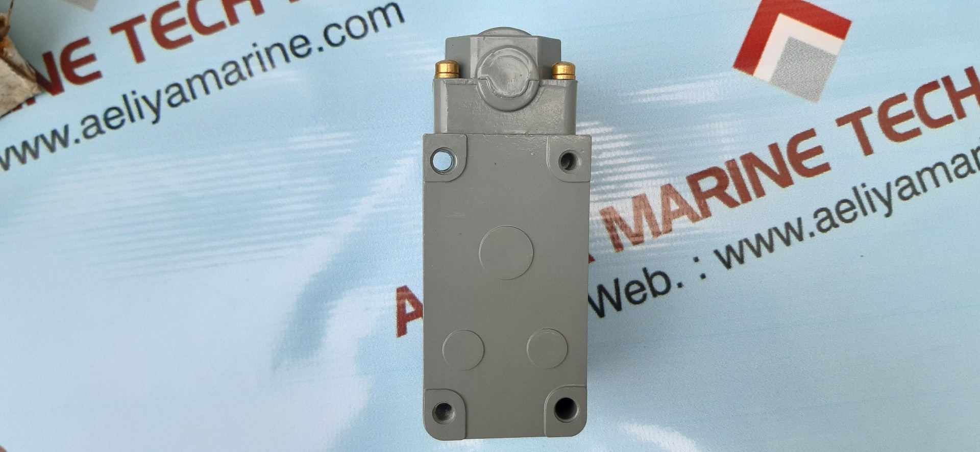 Dynamco hdl30 dx heavy duty limit switch