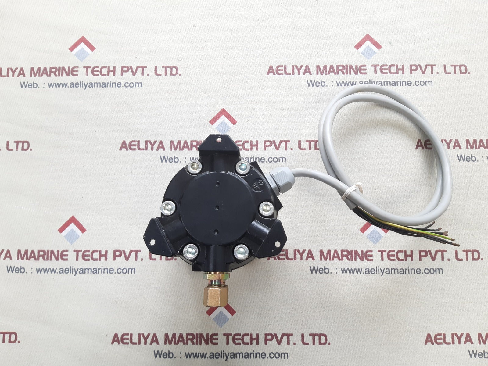 Fischer ds1102va21b1 pressure regulator