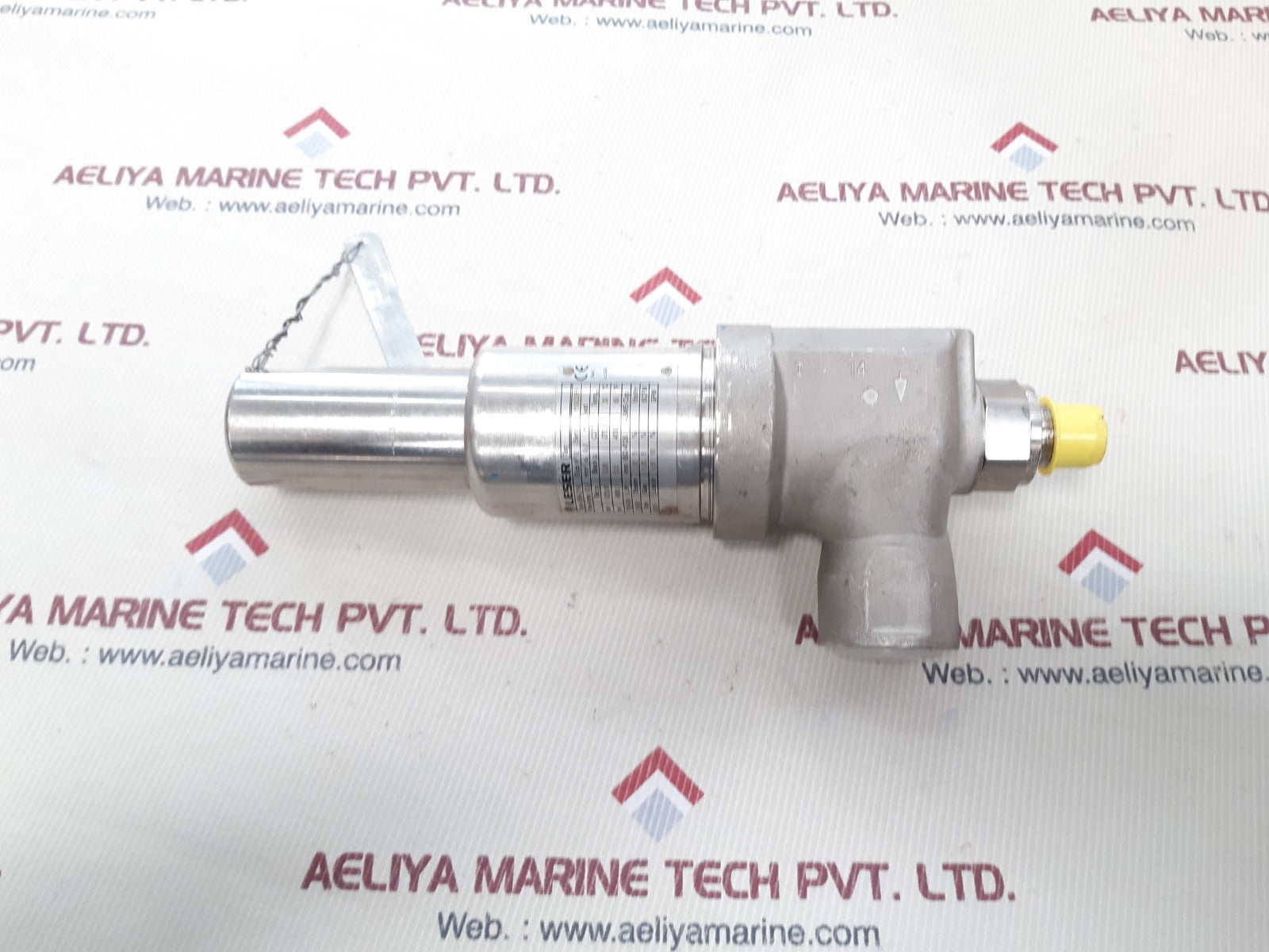 Leser 4594.2142 safety valve
