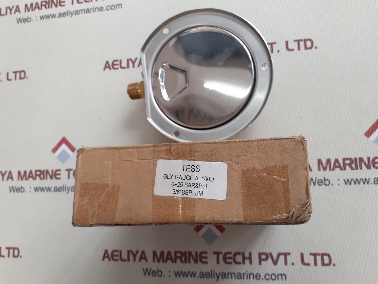 Tess en 837.1 pressure gauge