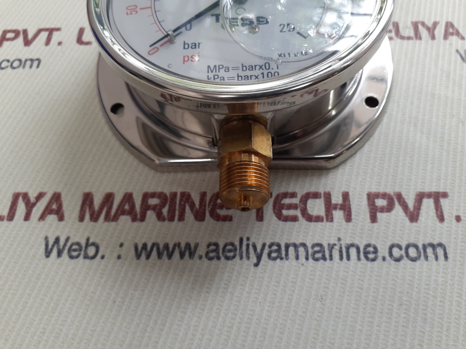 Tess en 837.1 pressure gauge