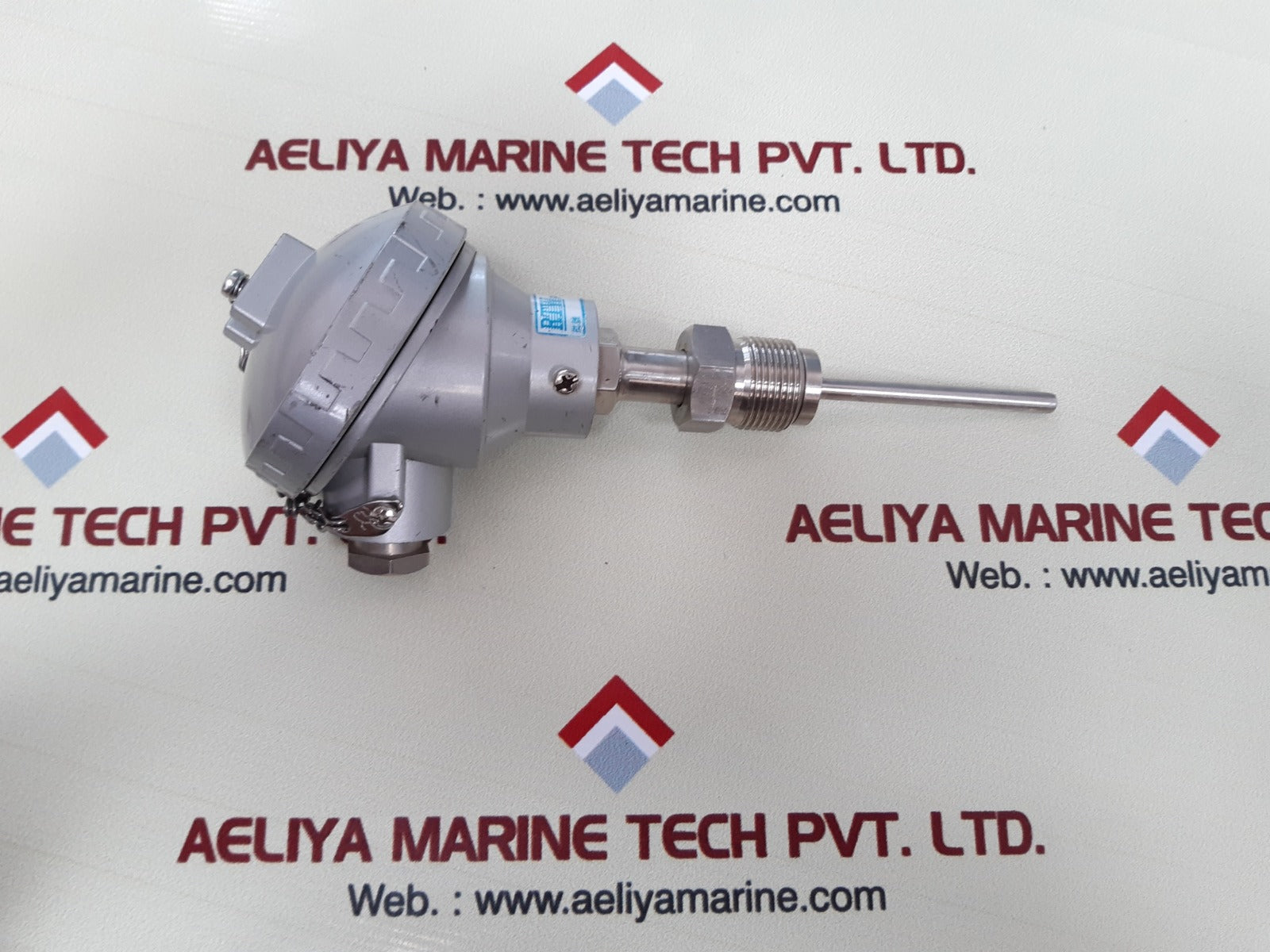 Rtw pt100 thermocouple temperature sensor