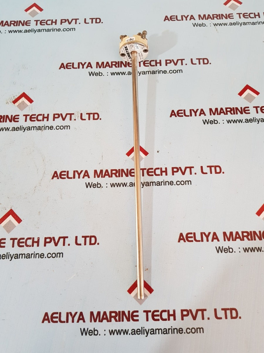 Ametek 2xpt100 578819