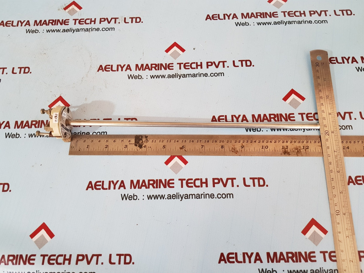 Ametek 2xpt100 578819