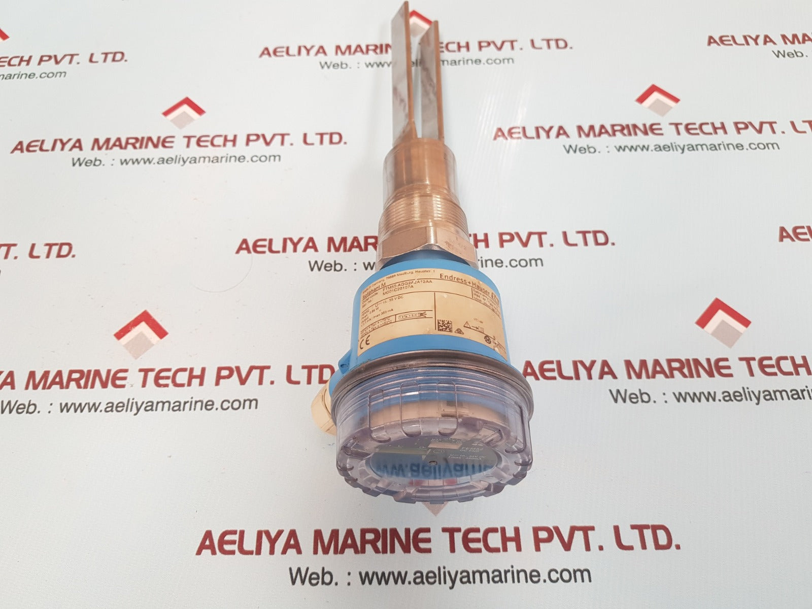 Endress+hauser ftm50-agg2a2a12aa soliphant m level switch