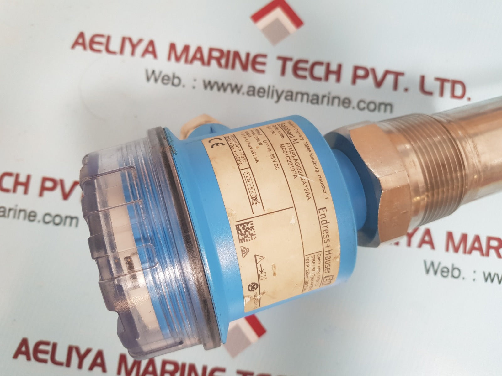 Endress+hauser ftm50-agg2a2a12aa soliphant m level switch