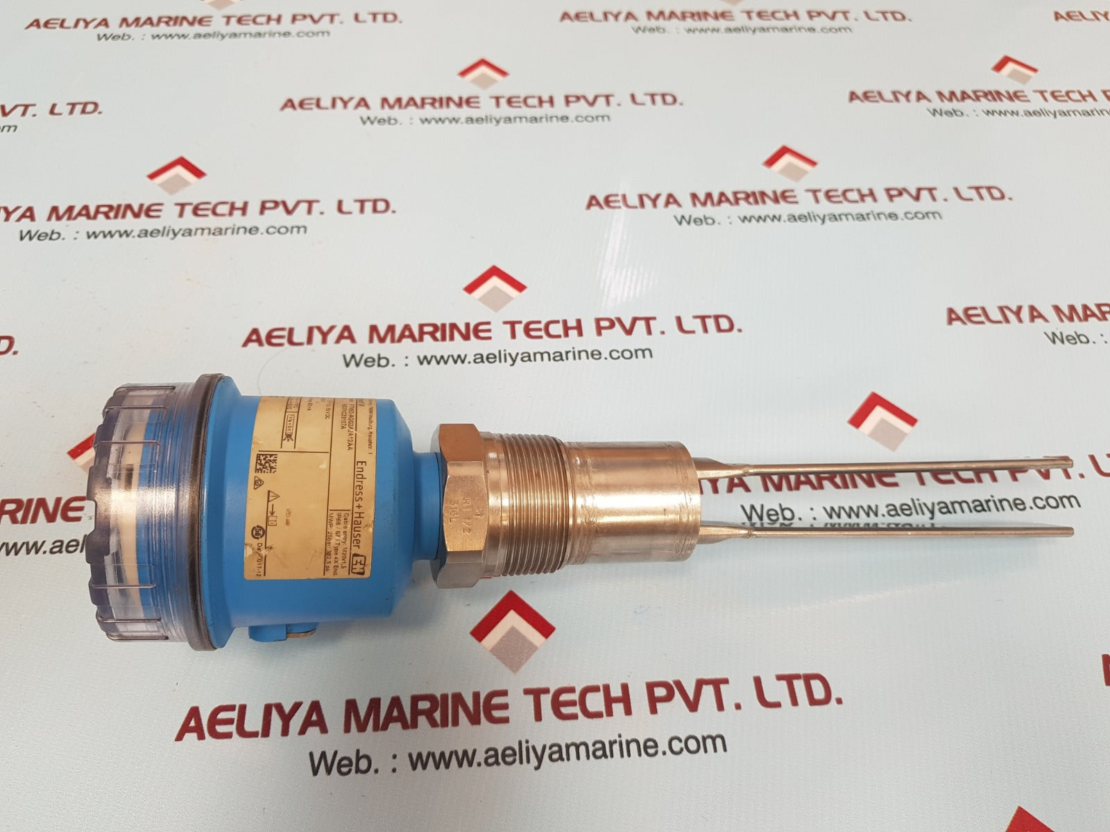 Endress+hauser ftm50-agg2a2a12aa soliphant m level switch