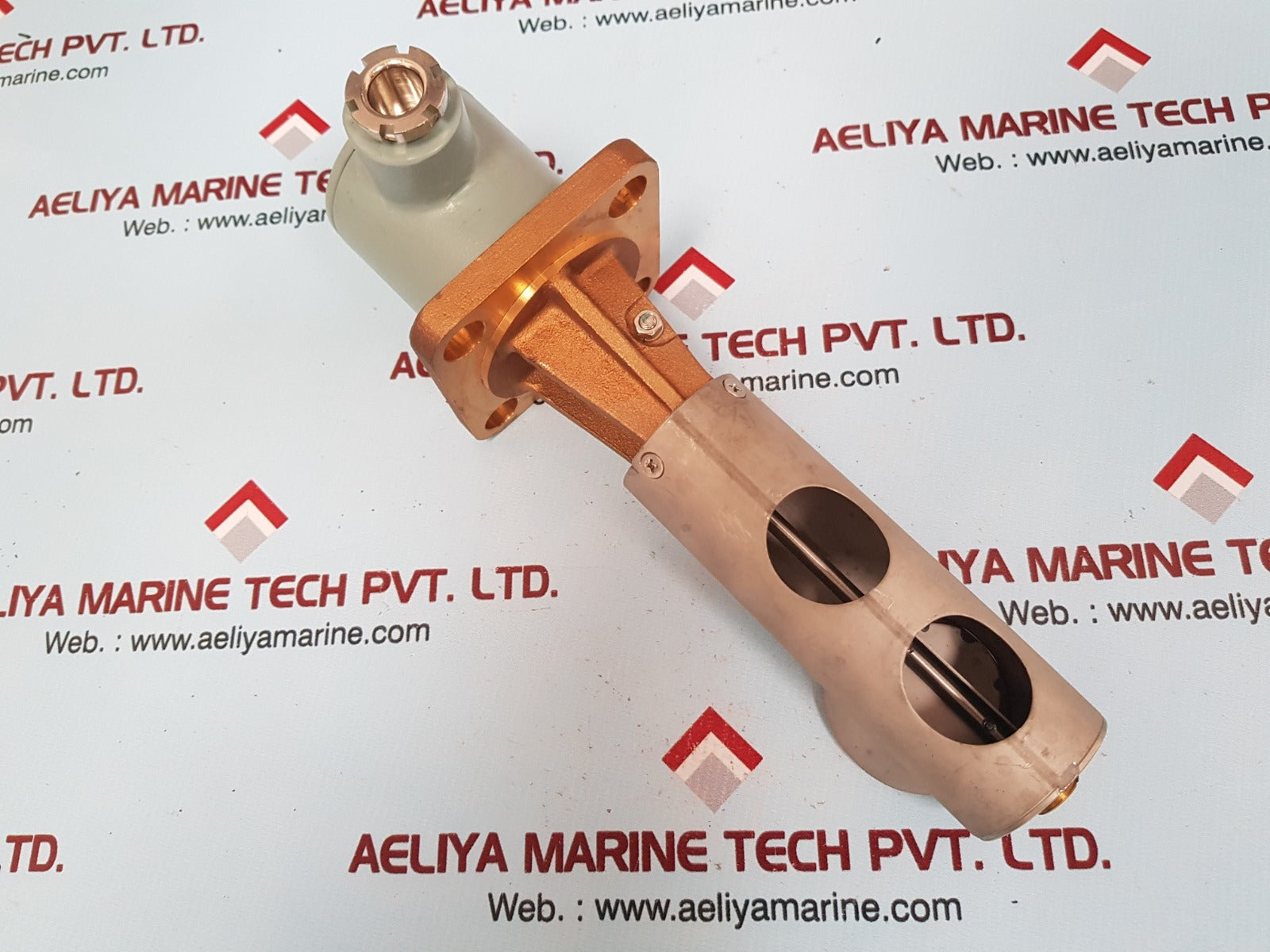 Taiyo bc-ftr-m flow switch