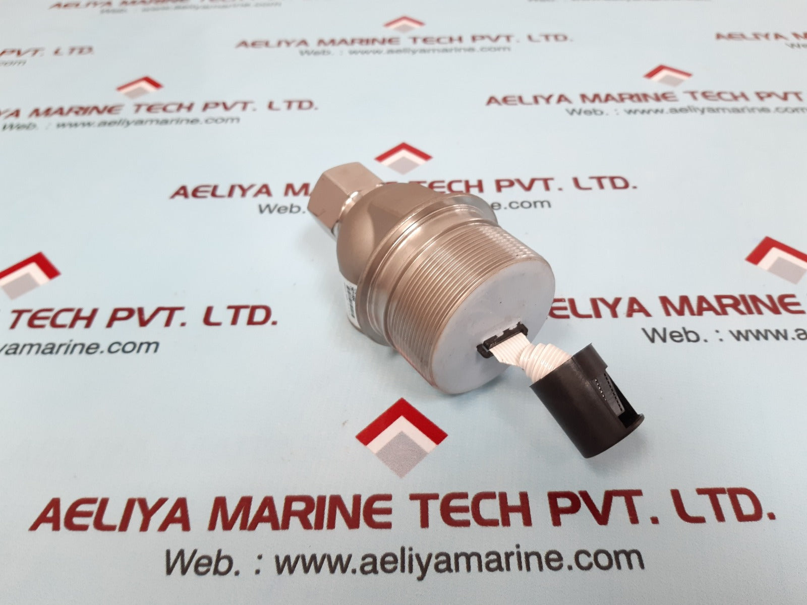 1/2 sil gp r1 hast module