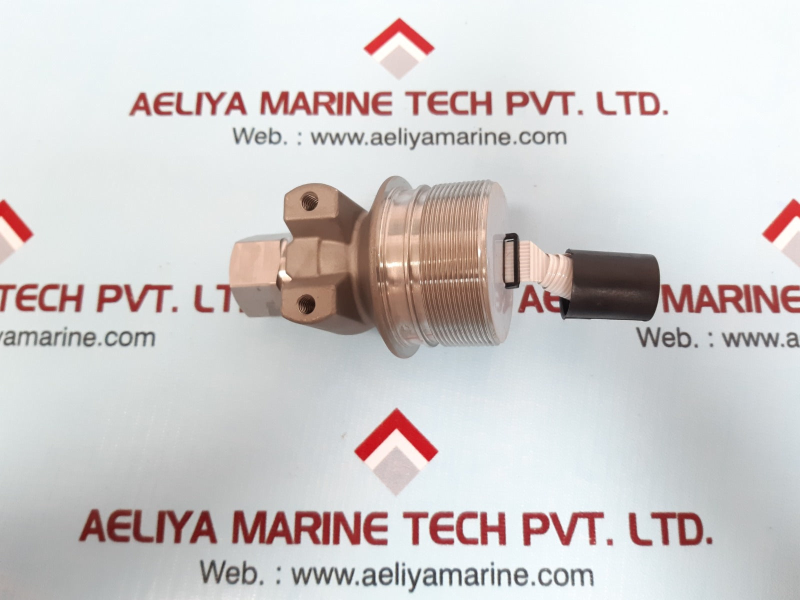 1/2 sil gp r1 hast module