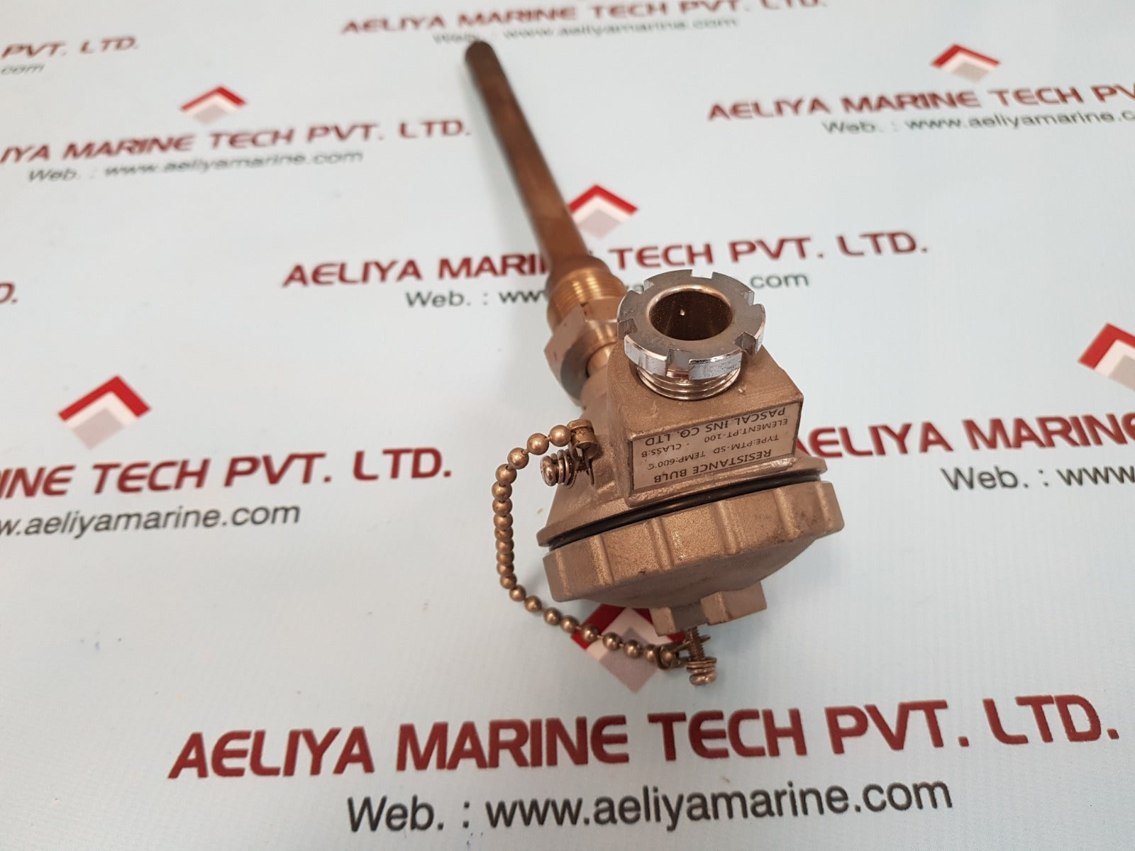Pascal Ptm-sd Resistance Bulb 600'c Pt-100