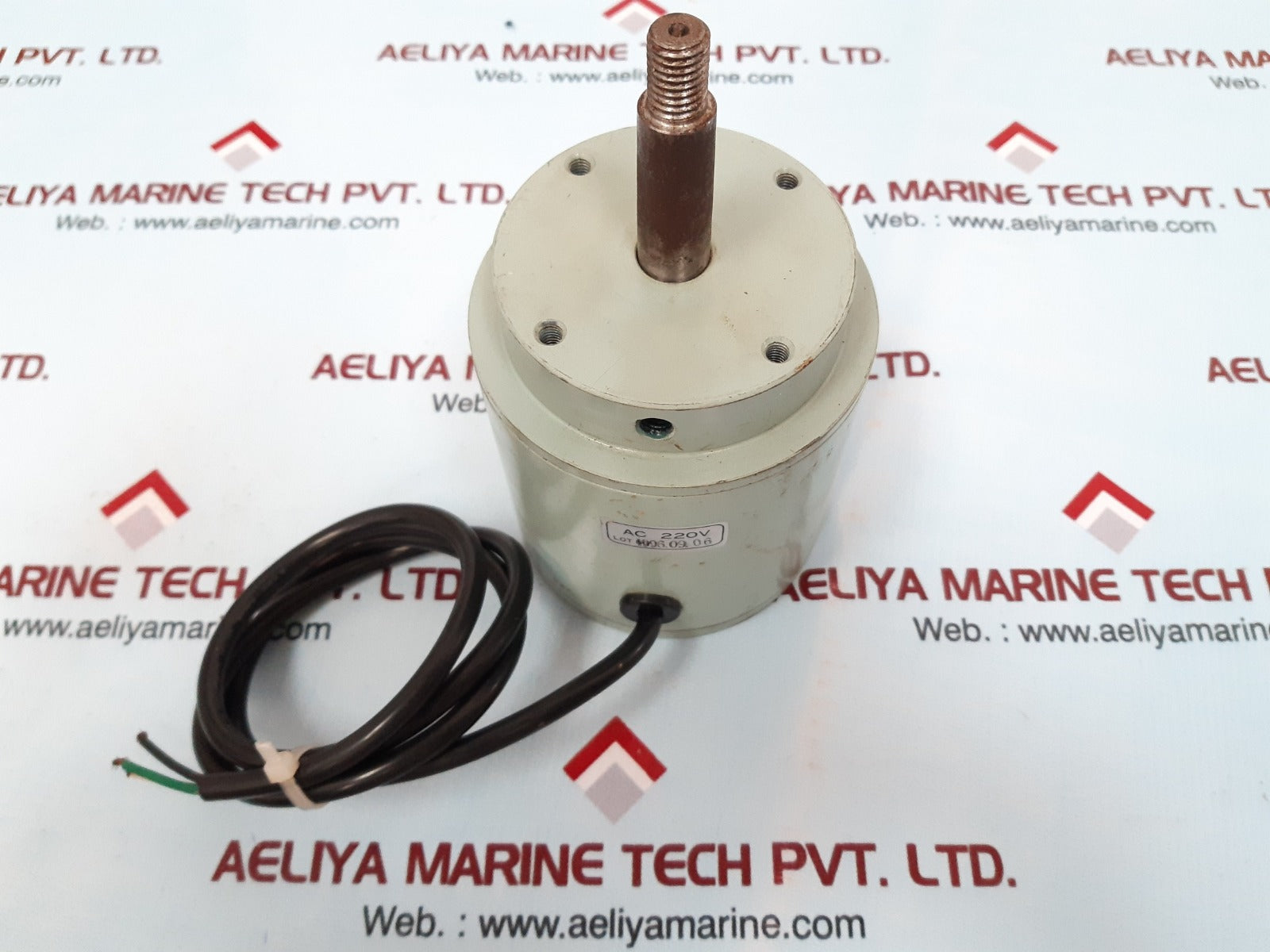 Ac220v motor