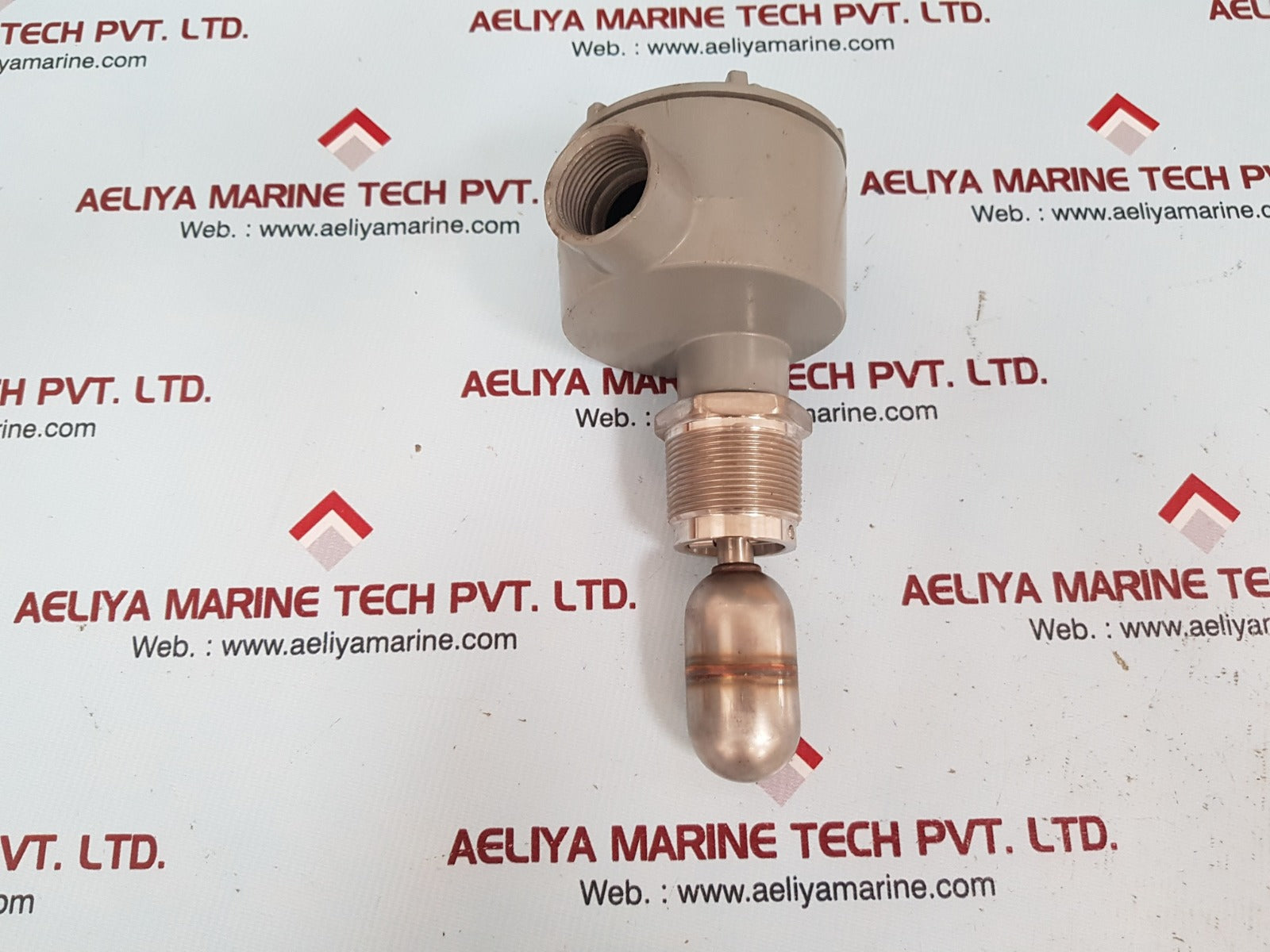 Magne-sonic mls 2100 2/12 liquid level switch