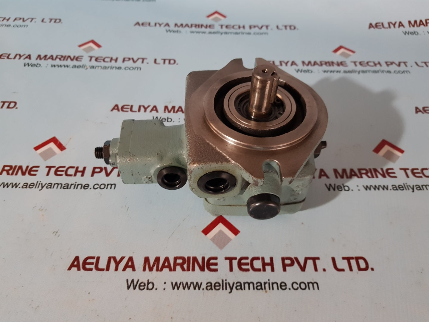 Rexroth 0 513 200 101 hydraulic vane pump