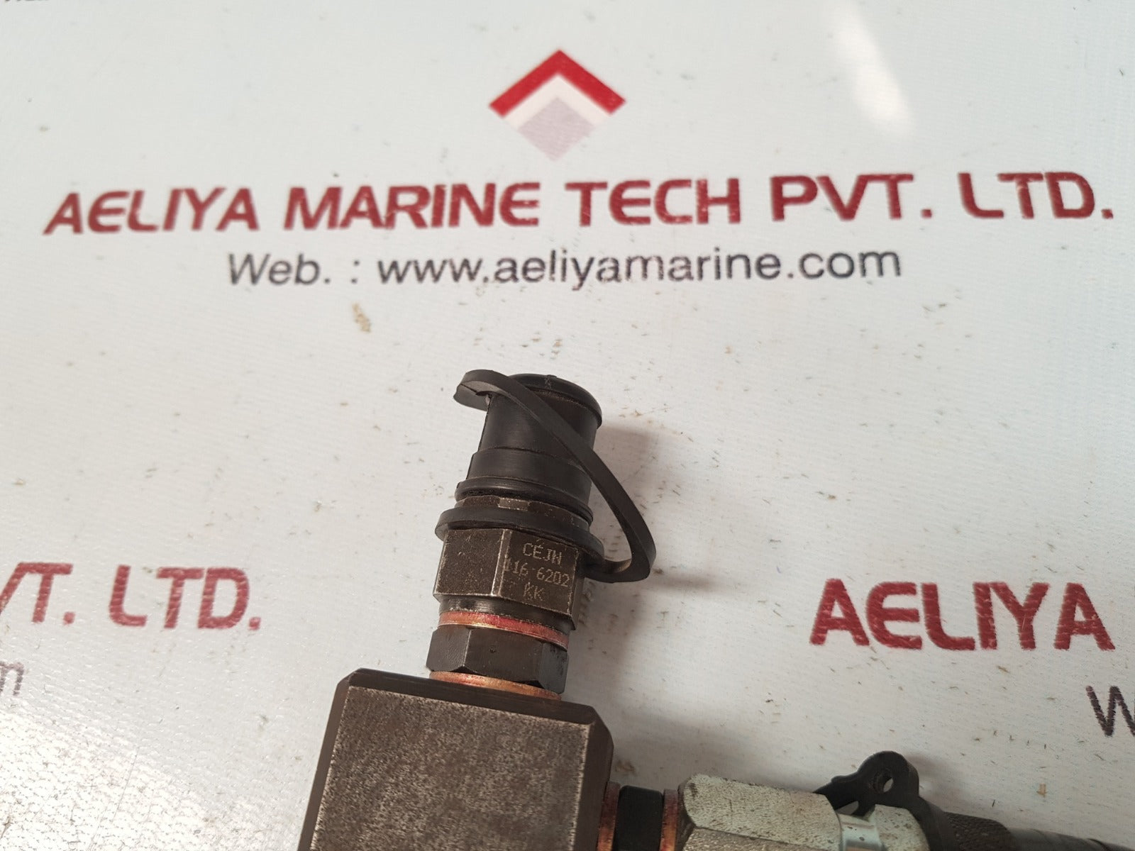 Cejn 116 1202 coupling