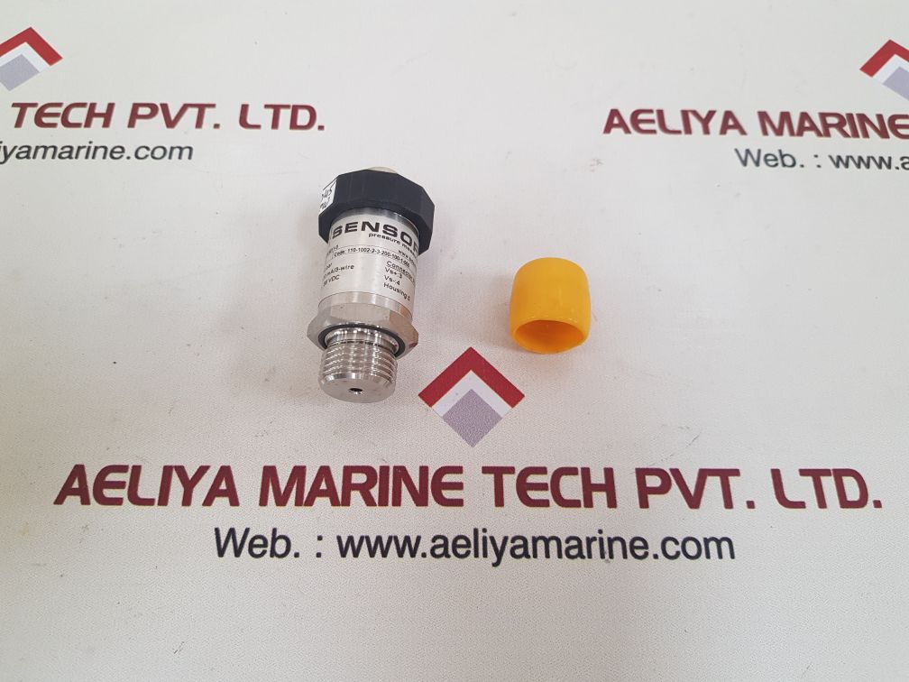 Bd sensors dmp 331 pressure transmitter 14-36 vdc
