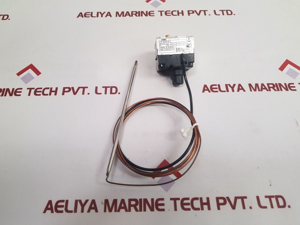 Jumo 602031/80 thermostat