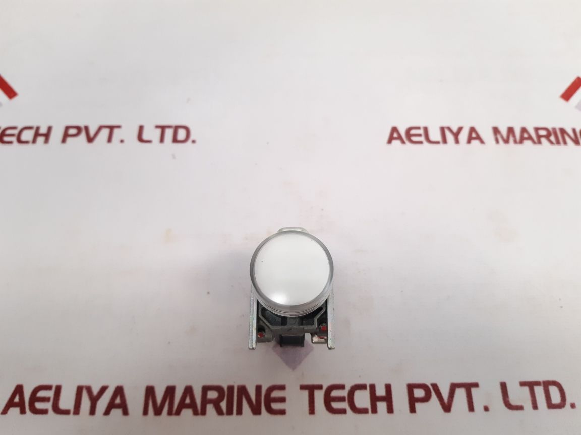 Schneider Electric Xb4 Bvm1 Pilot Led Light Zbv-m1