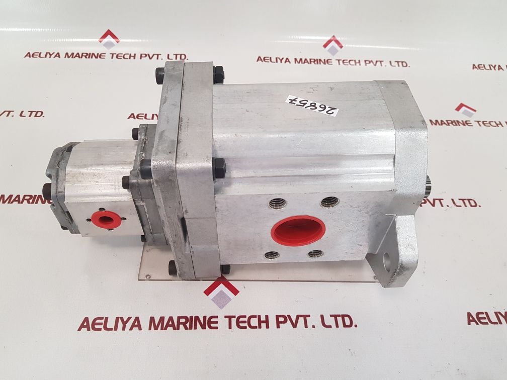 Liebherr 592097514 double gear pump