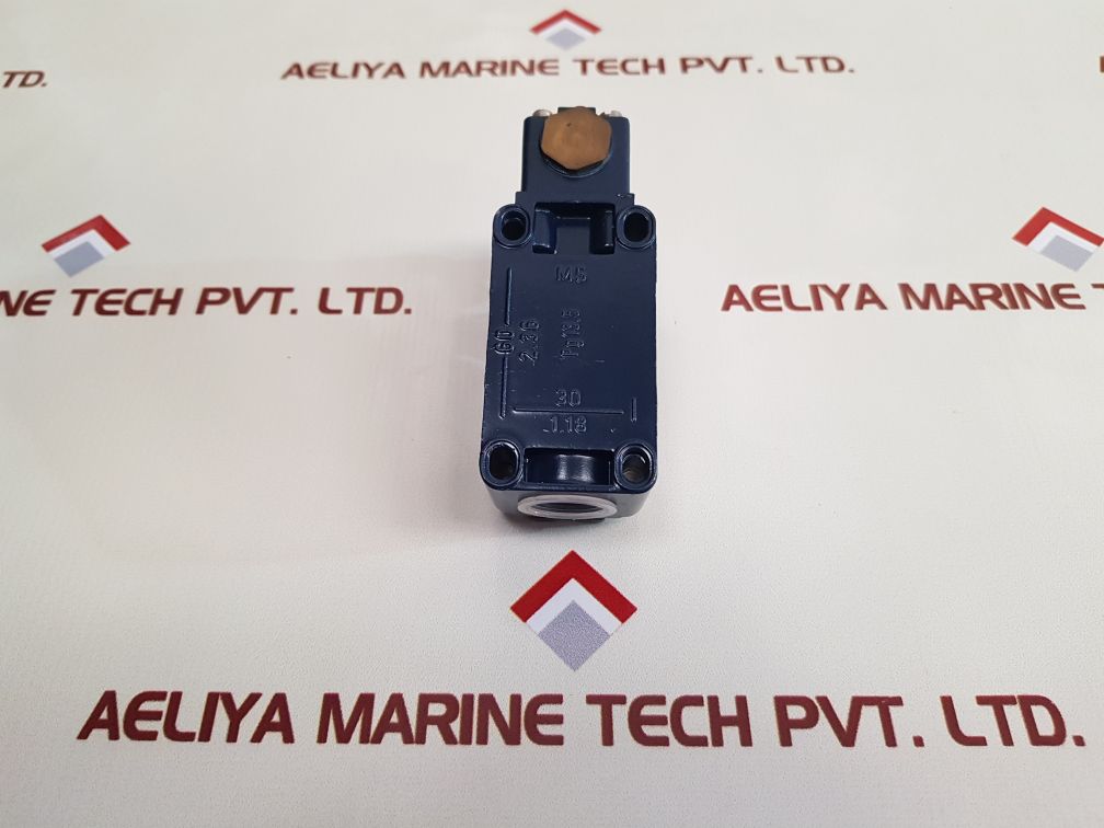 Schmersal Mv8H 330-11Y-rva-1164 Limit Switch Ui 250V