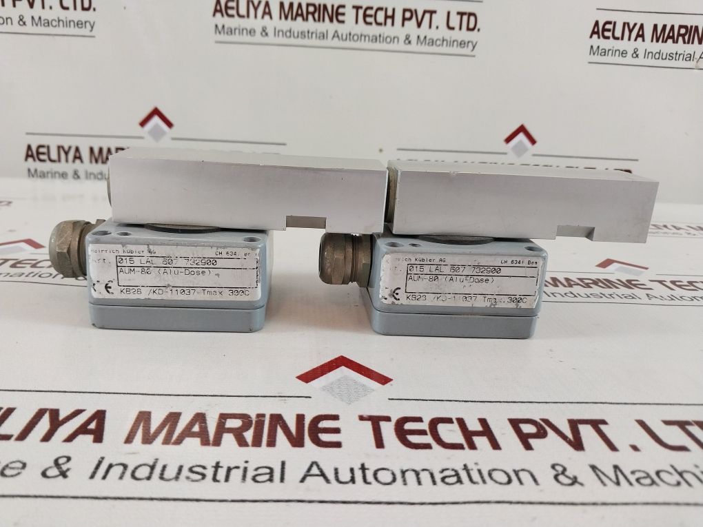 Kubler Aum-80 Magnetic Switch