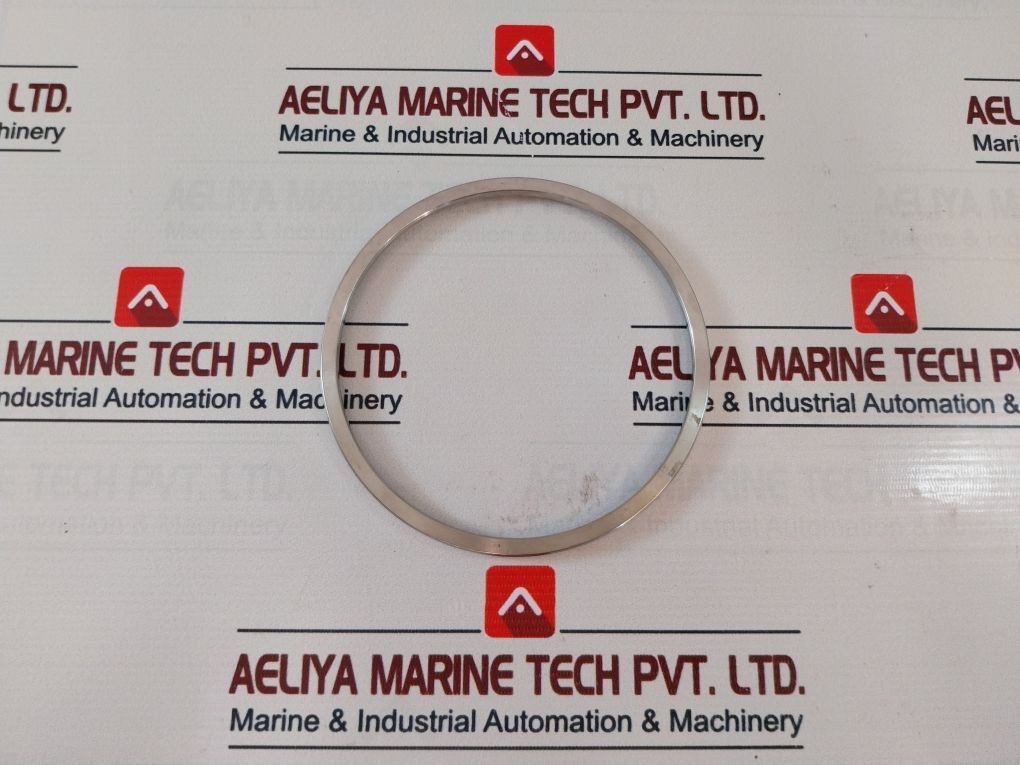243-726-01 Ring Gasket
