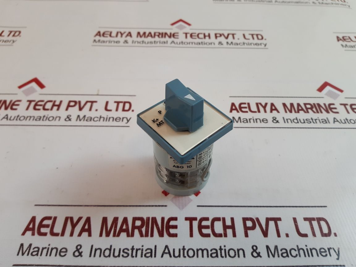 Asea abg 10 cam switch 10 amp 300vac