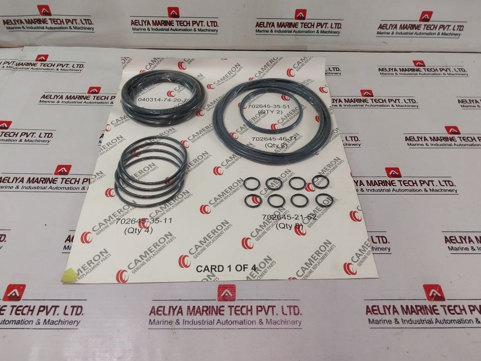 Cameron 2163135-01 Bonnets Seal Repair Kit C143-644356-02