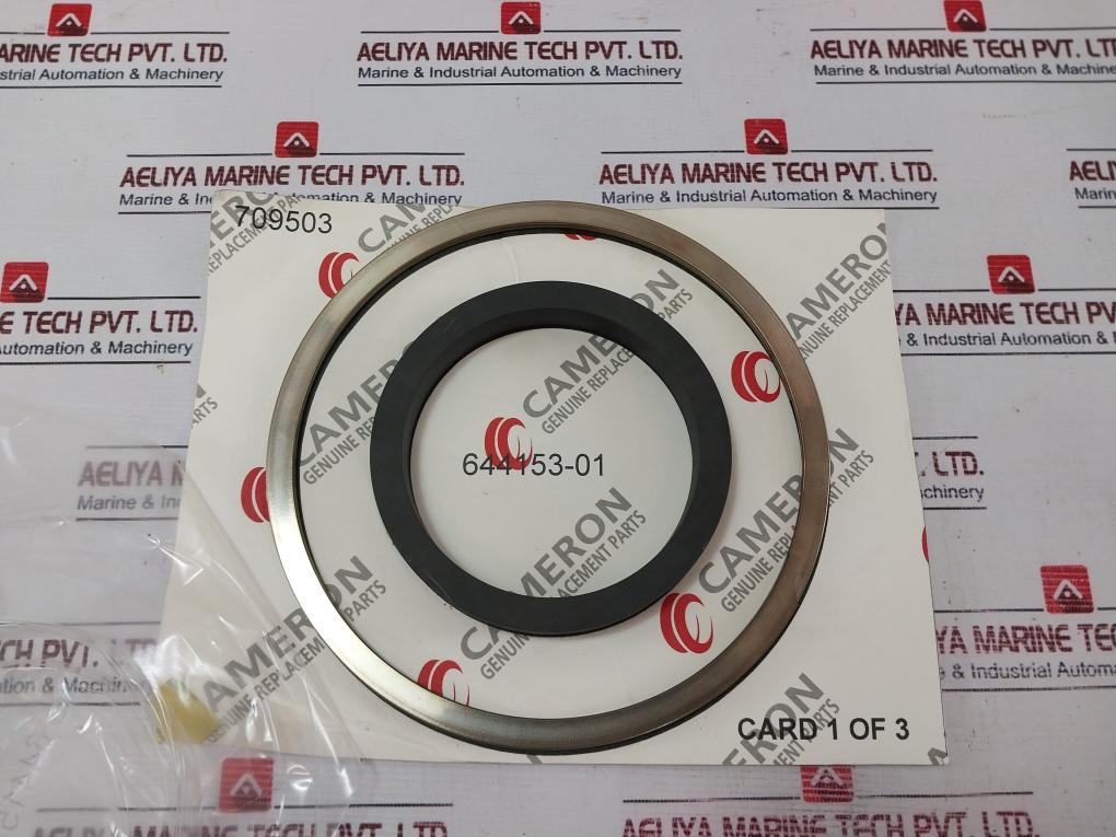 Cameron 2163135-01 Seal Repair Set C143-644356-01