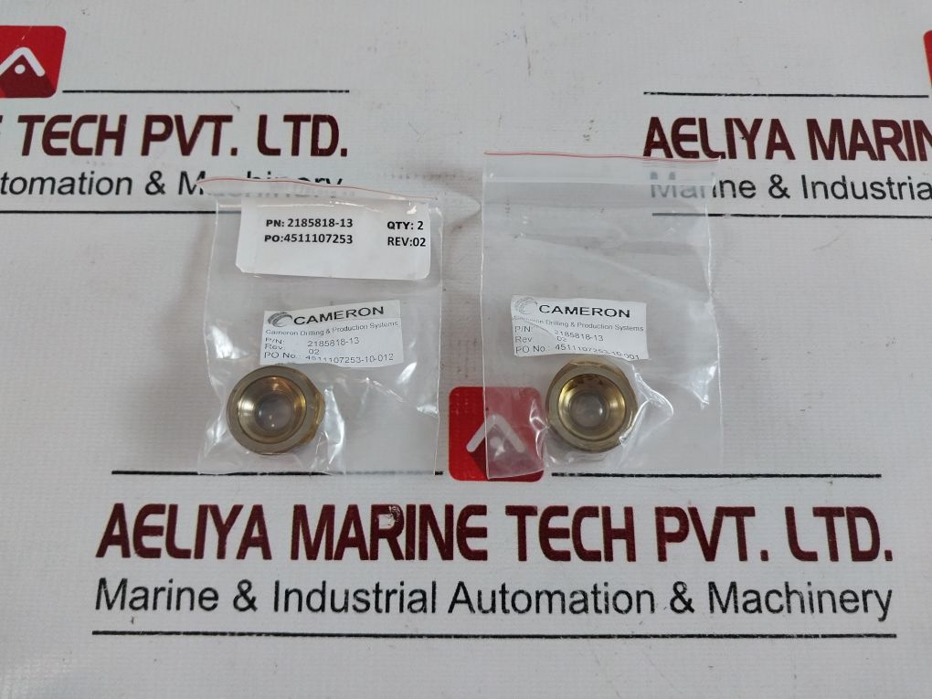Cameron 2185188-31-99 Drg Valve Repair Kit