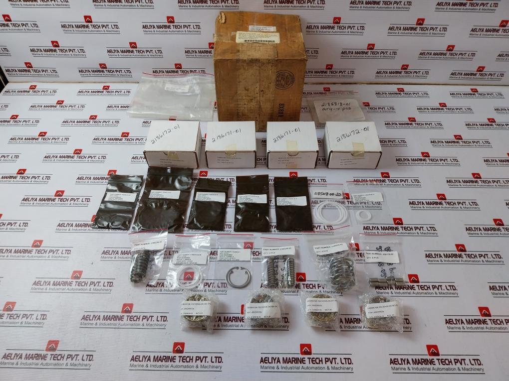 Cameron 2185611-02-99 Repair Kit