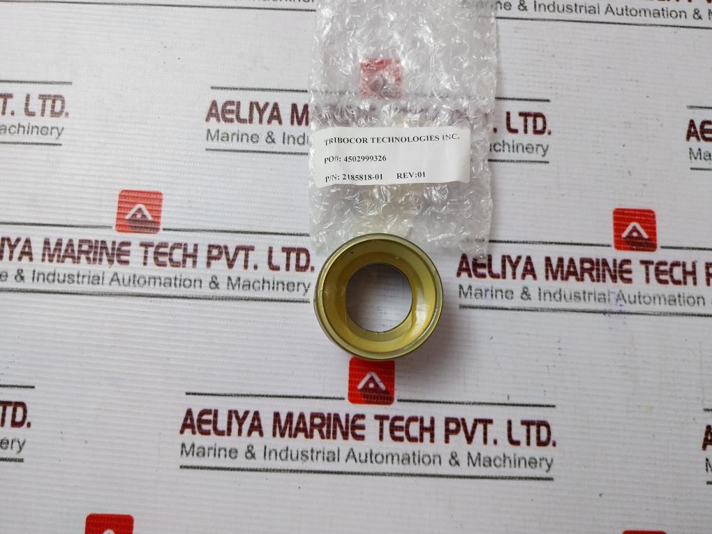 Cameron 2185611-02-99 Repair Kit