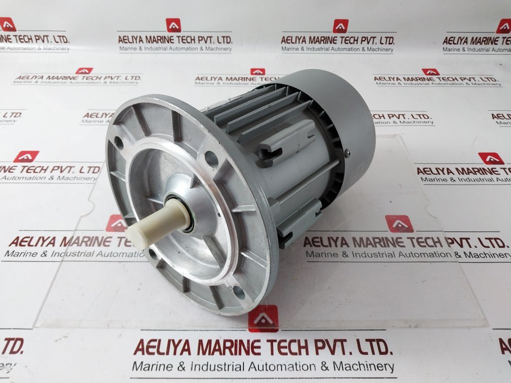 Cantoni Motor Mskh80B-4 Electric Motor