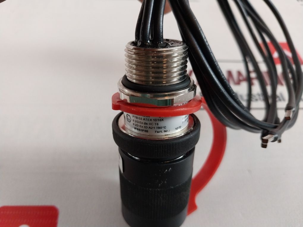Ceag 275V 10A