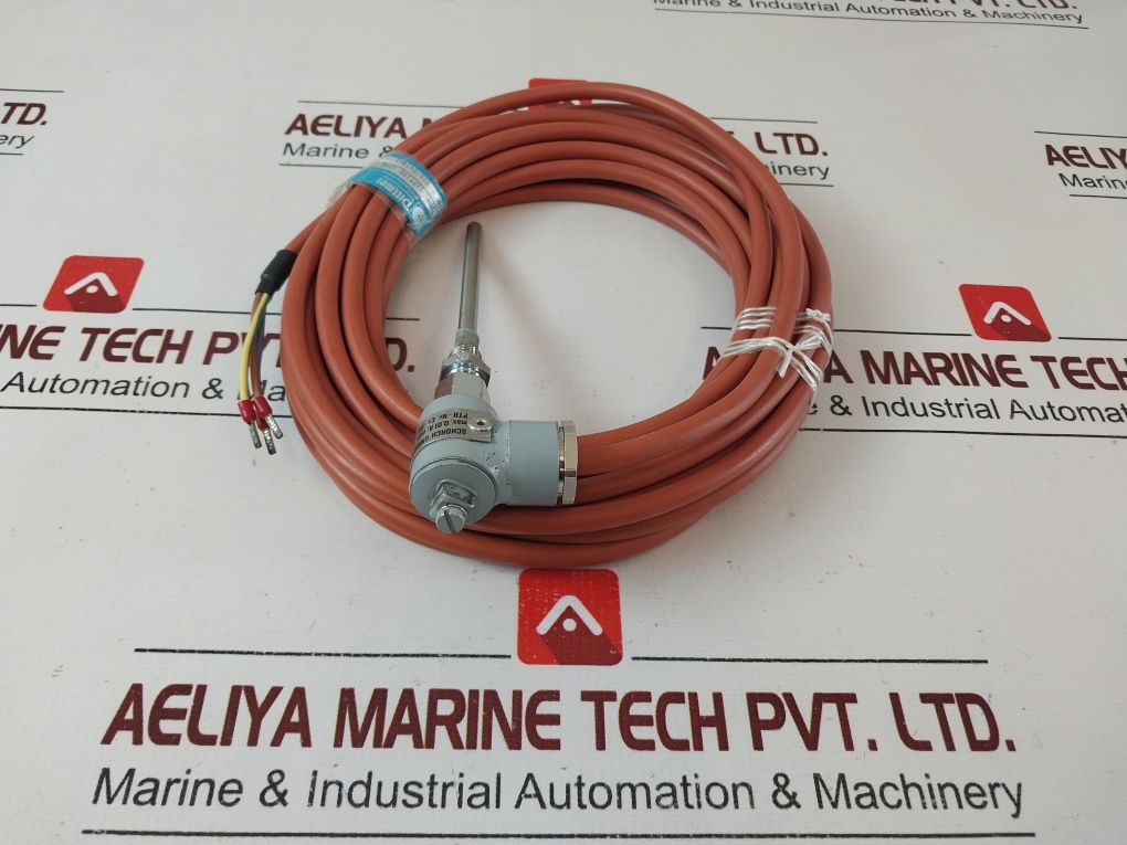 Dittmer 1Xpt100 206D Temperature Sensor