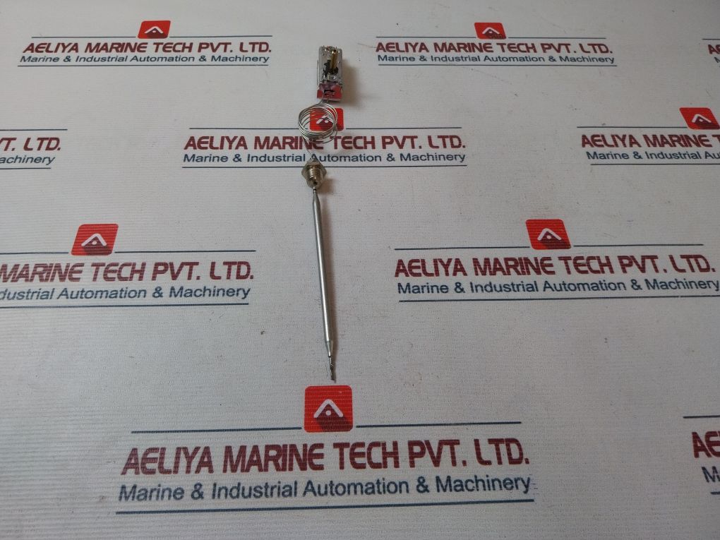 Ego 55.14019.910 Thermostat