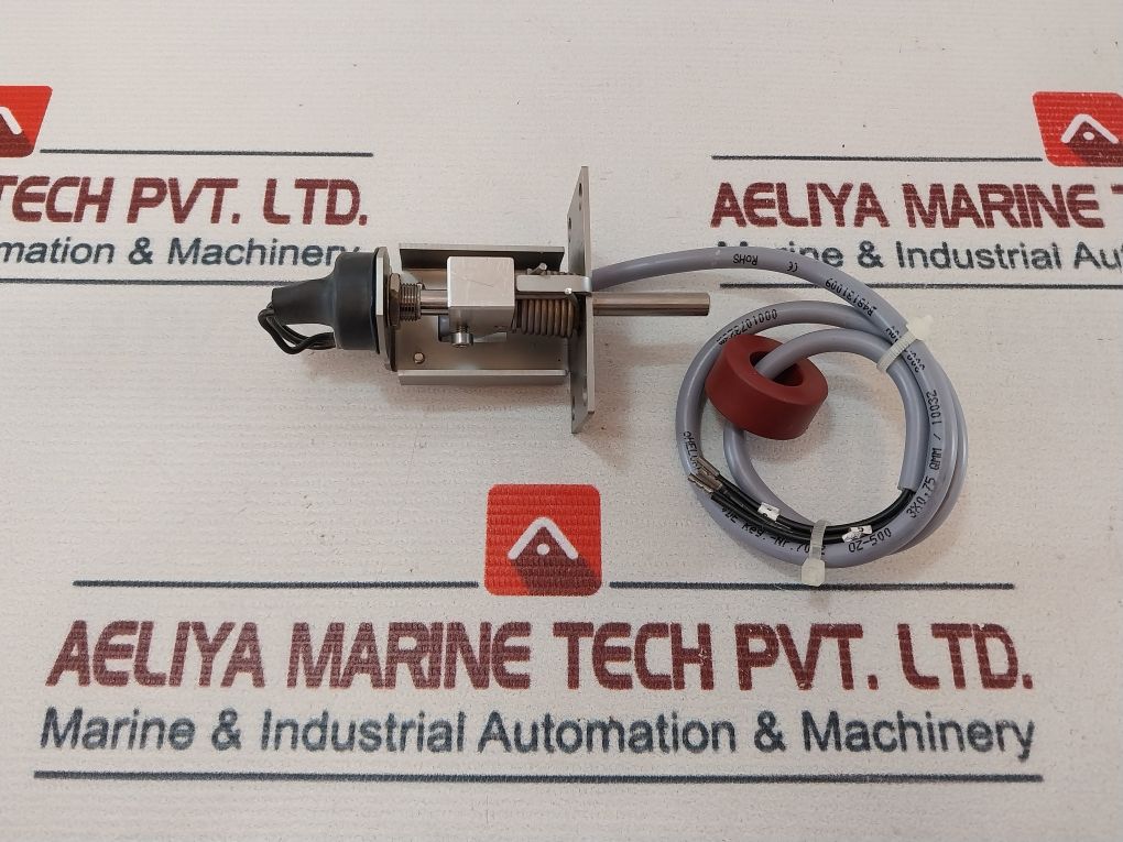 Electrolux 0Ki513 Switch Cpl 500V