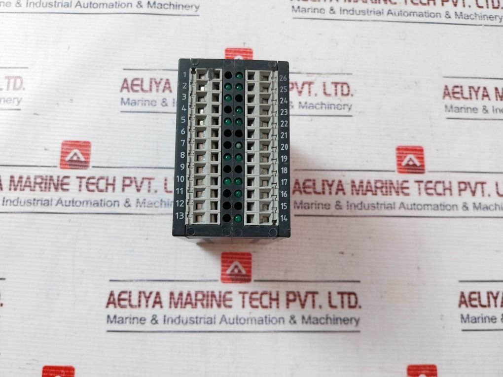 Elobau 462M41H31 Safety Control Unit 24V Ac/Dc
