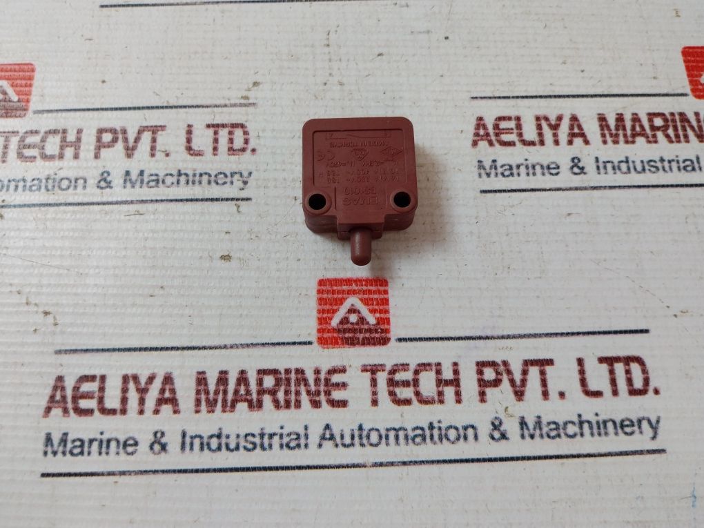 Emas Bs1010 Micro Switch