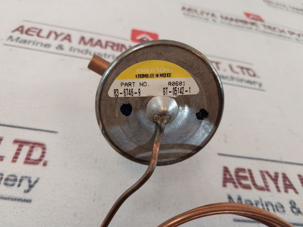 Emerson 83-6746-9 Expansion Valve G1700