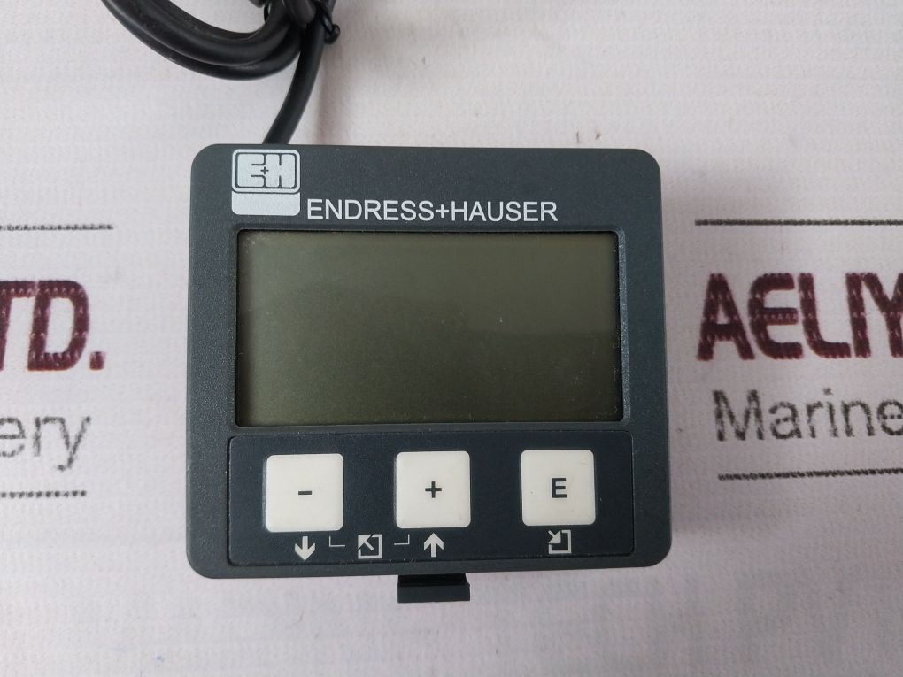 Endress+Hauser 52026443 Display Module