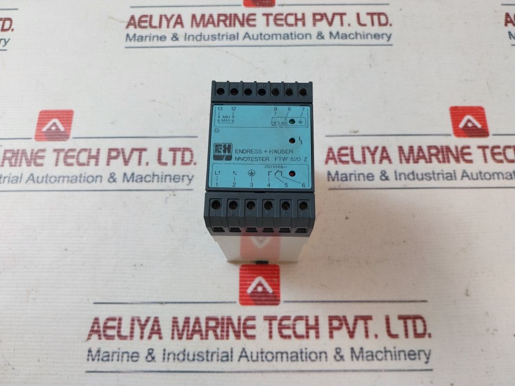 Endress+Hauser Ftw 520 Z Level Limit Switch