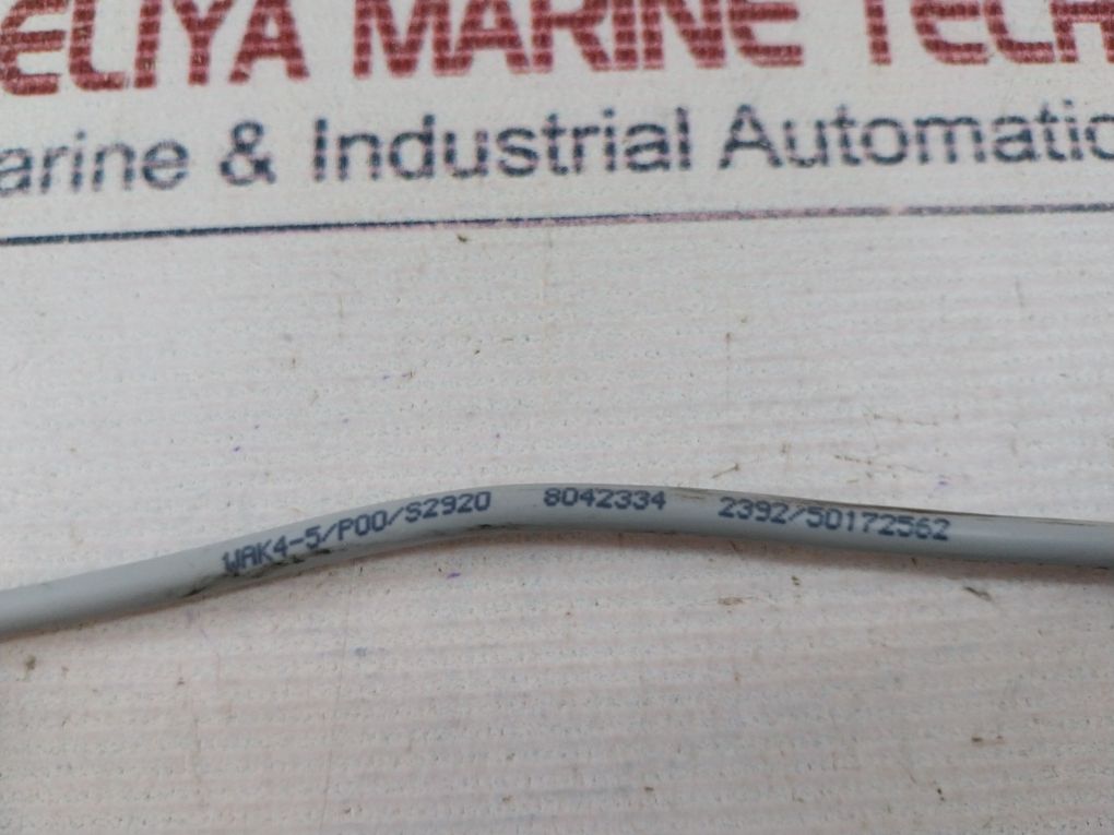 Escha Wak4-5/P00/S2920 Connecting Cable