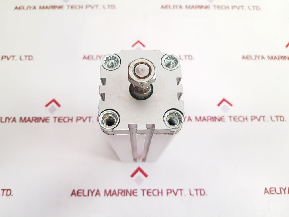 Festo Advu-50-200-a-p-a Valve