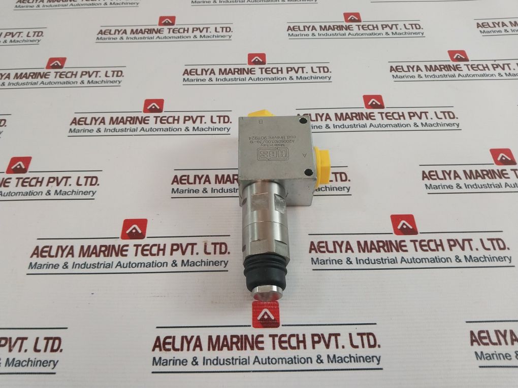 Hbs A20060103.00/39-19 Valve 9011924
