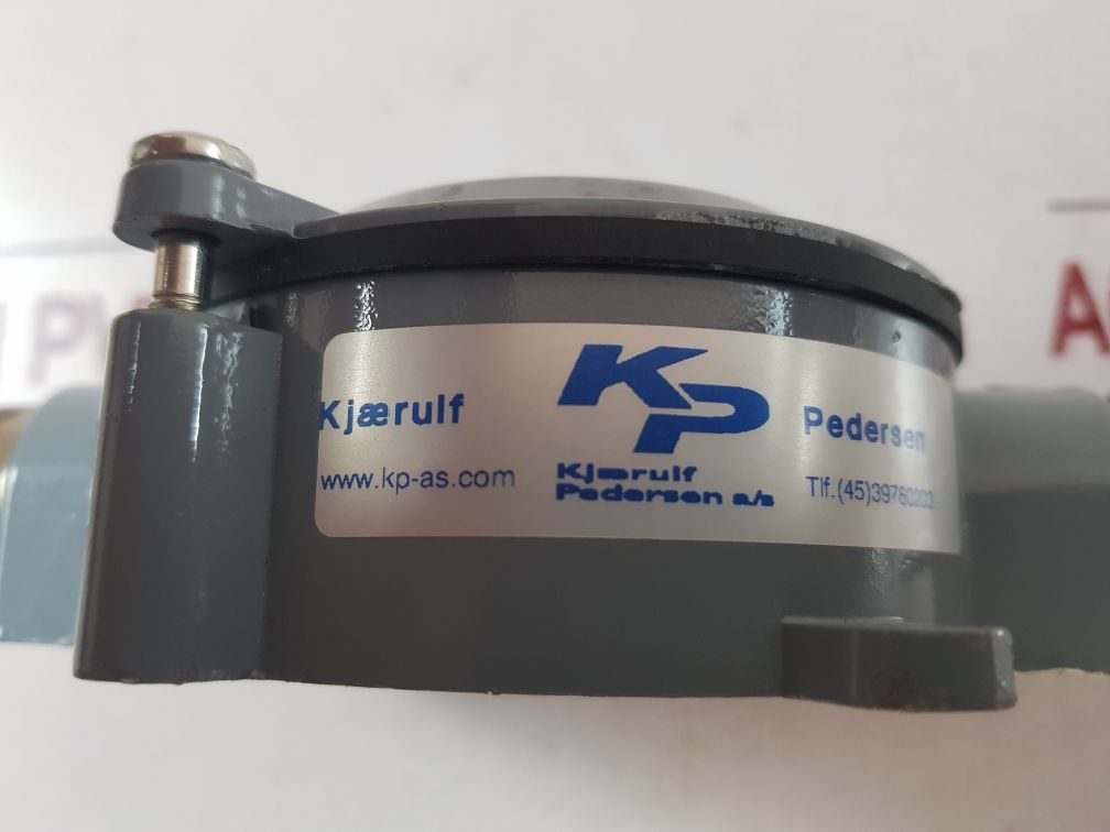Kjaerulf Pedersen 1Xpt100 Sensor